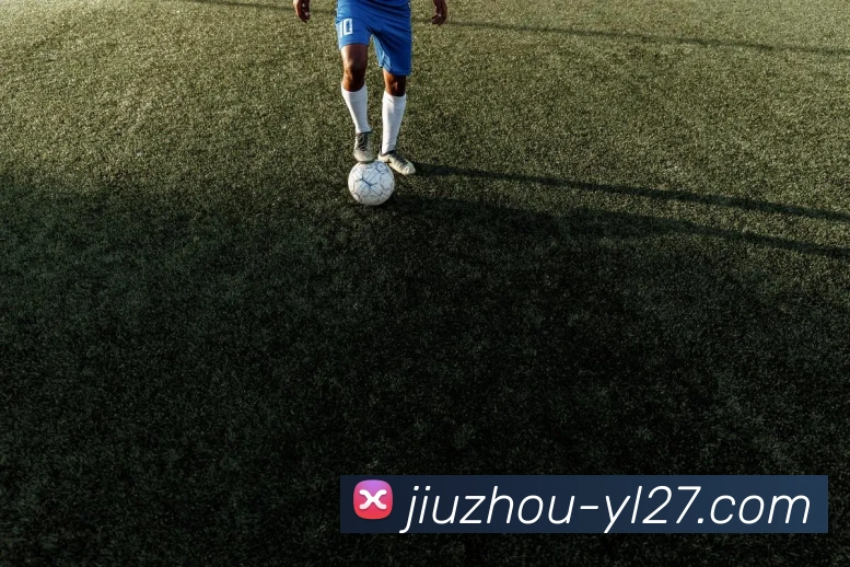 奖项证书